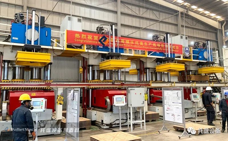 һ�βɹ�6̨���ͻ�����ֻѡ������Ī��