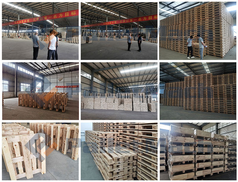 ��Ī�ŶӲι���������